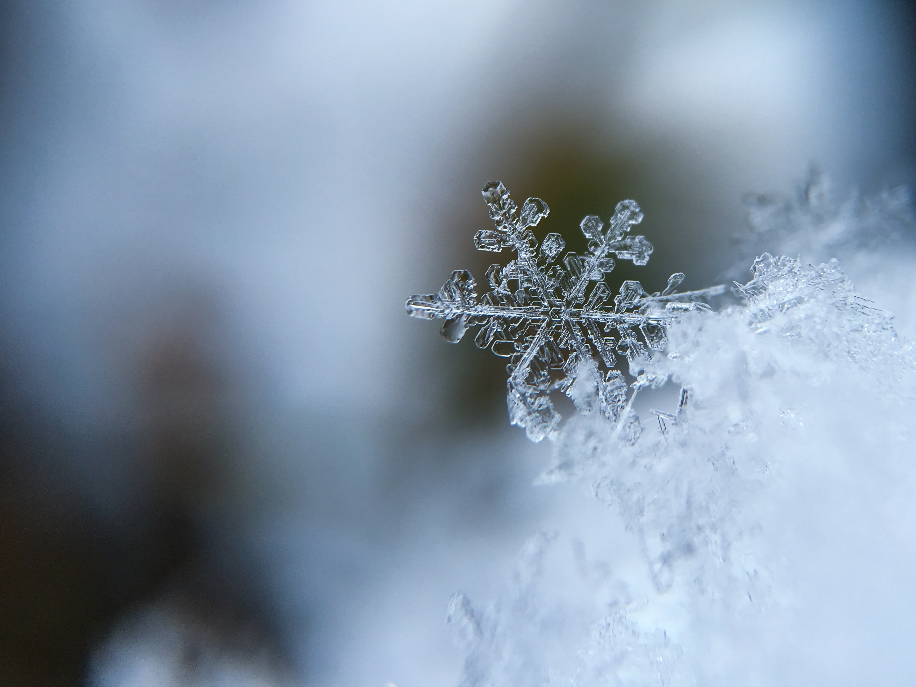 Schneeflocke 